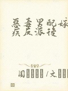 恶毒男配嫁给残疾反派后