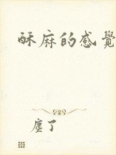 酥麻的感觉小说