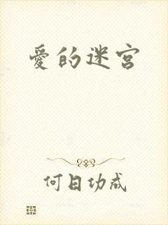 爱的迷宫