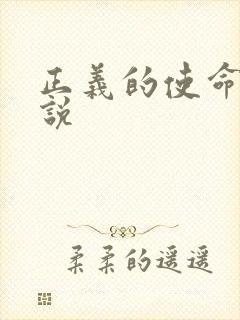 正义的使命 小说