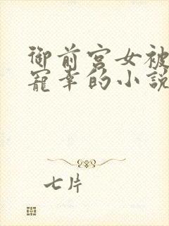 御前宫女被皇上宠幸的小说封面