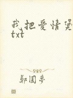 我把爱情煲成汤txt封面