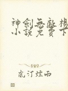 神剑无敌杨小天小说免费下载封面