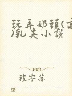 玩弄奶头(高h)乳夹小说