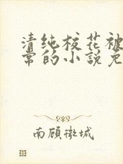 清纯校花被擒日常的小说免费阅读