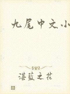 九尾中文小说网