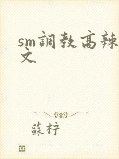 sm调教高辣h文