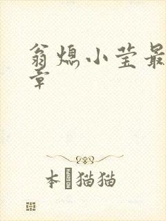 翁熄小莹最新节章