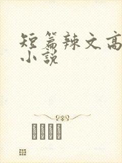 短篇辣文高h文小说