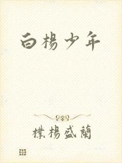 白杨少年封面