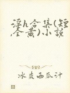 淫h合集(短篇,全黄)小说