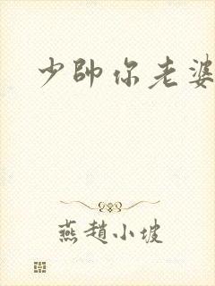 少帅你老婆