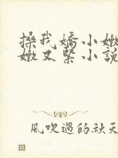 搡我娇小嫩苞又嫩又紧小说