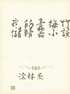 我的青梅竹马是储精器小说