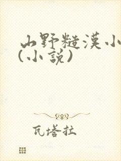 山野糙汉小娇娘(小说)