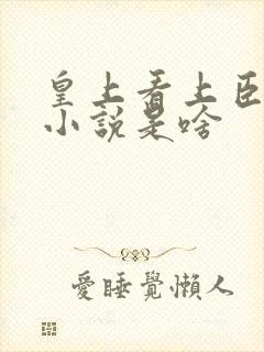 皇上看上臣妻的小说是啥封面