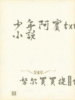 少年阿宾txt小说