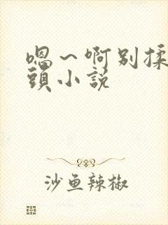 嗯～啊别揉我奶头小说