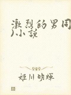 激烈的男同(h)小说