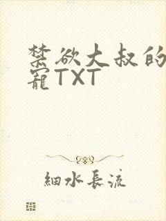 禁欲大叔的心尖宠TXT