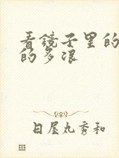 看镜子里的你叫的多浪封面