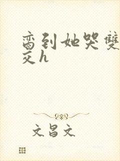 脔到她哭双根宫交h