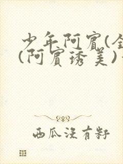 少年阿宾(全)(阿宾琇美)番外+大结局小说封面