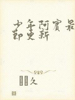 少年阿宾最新章节更新