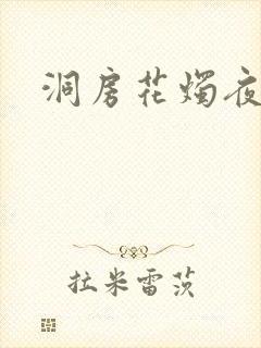 洞房花烛夜小说封面