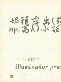 奶头露出(强jnp,高h)小说