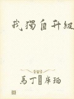 我独自升级小说封面