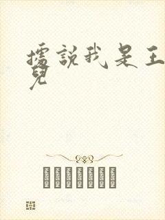 据说我是王的女儿封面