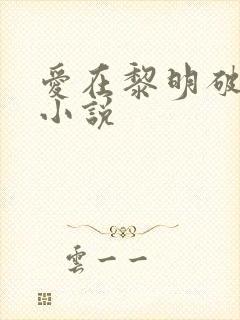 爱在黎明破晓前小说封面