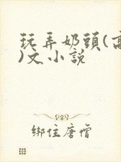 玩弄奶头(高h)文小说