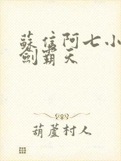 苏信阿七小说一剑霸天