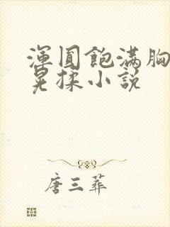 浑圆饱满胸乳摇晃揉小说