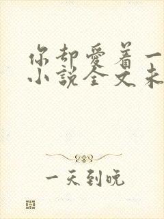 你却爱着一个他小说全文未删减免费