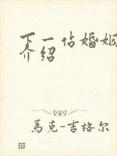 下一站婚姻剧情介绍