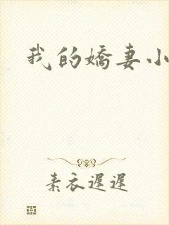 我的娇妻小说