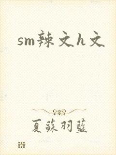sm辣文h文