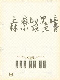 上瘾by黑暗森林小说免费