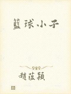 篮球小子封面