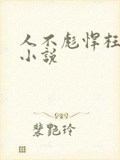 人不彪悍枉少年小说