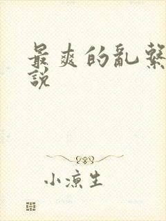 最爽的乱系列小说