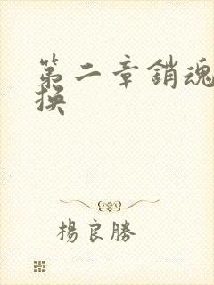 第二章销魂的交换