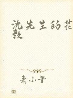 沈先生的花式调教