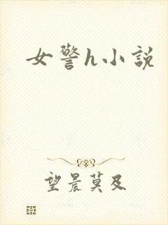 女警h小说