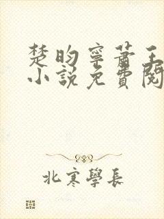 楚昀宁萧王穿越小说免费阅读无弹窗