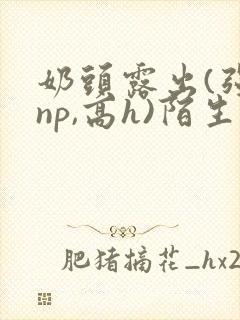 奶头露出(强jnp,高h)陌生人小说小说