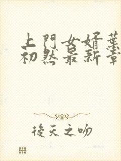 上门女婿叶辰萧初然最新章节免费阅读